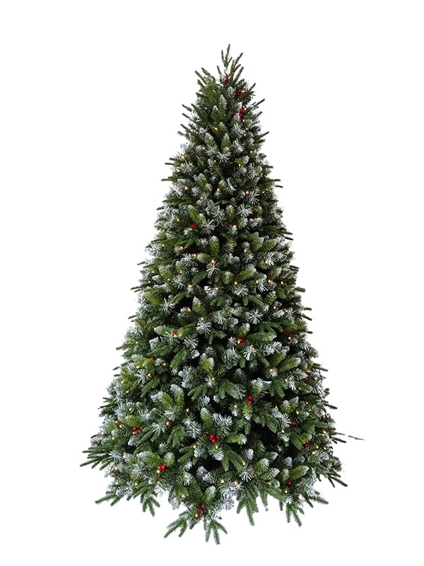 Árvore de Natal-PESW210002